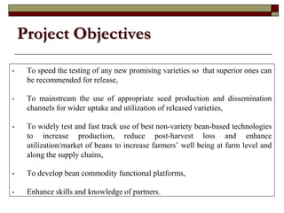 Supporting communities to increase bean productivity through enhanced accessibility to seed of preferred bean varieties and other technologies in Malawi, Mozambique and Tanzania
