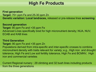 Chirwa presentation-2Breeding for Multiple Constraint Resistant, Micronutrient Rich Content and Niche Market Bean Varieties in the light of PABRA Workplans and Milestones
