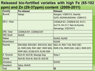 Chirwa presentation-2Breeding for Multiple Constraint Resistant, Micronutrient Rich Content and Niche Market Bean Varieties in the light of PABRA Workplans and Milestones