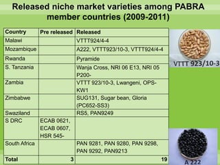 Chirwa presentation-2Breeding for Multiple Constraint Resistant, Micronutrient Rich Content and Niche Market Bean Varieties in the light of PABRA Workplans and Milestones