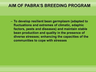 Chirwa presentation-2Breeding for Multiple Constraint Resistant, Micronutrient Rich Content and Niche Market Bean Varieties in the light of PABRA Workplans and Milestones