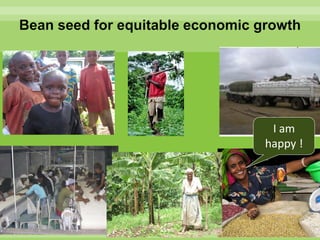 Chirwa presentation-2Breeding for Multiple Constraint Resistant, Micronutrient Rich Content and Niche Market Bean Varieties in the light of PABRA Workplans and Milestones