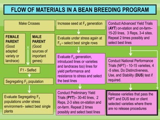 Chirwa presentation-2Breeding for Multiple Constraint Resistant, Micronutrient Rich Content and Niche Market Bean Varieties in the light of PABRA Workplans and Milestones