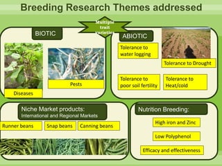 Chirwa presentation-2Breeding for Multiple Constraint Resistant, Micronutrient Rich Content and Niche Market Bean Varieties in the light of PABRA Workplans and Milestones