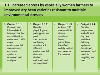 Chirwa presentation-2Breeding for Multiple Constraint Resistant, Micronutrient Rich Content and Niche Market Bean Varieties in the light of PABRA Workplans and Milestones