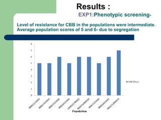 PHENOTYPIC AND GENOTYPIC EVALUATIONS FOR CBB RESISTANCE IN COMMON BEAN POPULATIONS