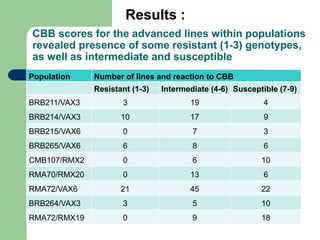 PHENOTYPIC AND GENOTYPIC EVALUATIONS FOR CBB RESISTANCE IN COMMON BEAN POPULATIONS