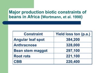 PHENOTYPIC AND GENOTYPIC EVALUATIONS FOR CBB RESISTANCE IN COMMON BEAN POPULATIONS
