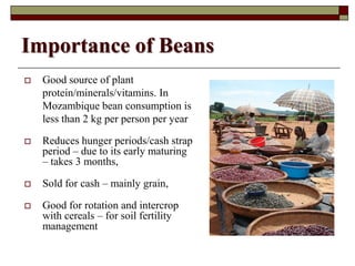 Using Innovative Approaches in Selecting and Disseminating Bean Varieties in Mozambique: Lessons Learnt