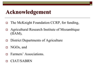 Using Innovative Approaches in Selecting and Disseminating Bean Varieties in Mozambique: Lessons Learnt