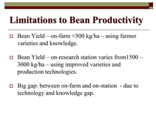 Using Innovative Approaches in Selecting and Disseminating Bean Varieties in Mozambique: Lessons Learnt