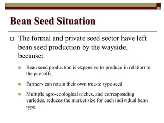 Using Innovative Approaches in Selecting and Disseminating Bean Varieties in Mozambique: Lessons Learnt