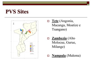 Using Innovative Approaches in Selecting and Disseminating Bean Varieties in Mozambique: Lessons Learnt