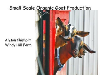Small Scale Organic Goat Production

Alyson Chisholm
Windy Hill Farm

 