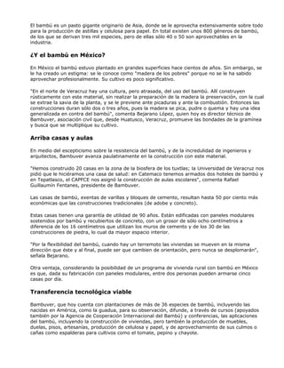 El bambú es un pasto gigante originario de Asia, donde se le aprovecha extensivamente sobre todo
para la producción de astillas y celulosa para papel. En total existen unos 800 géneros de bambú,
de los que se derivan tres mil especies, pero de ellas sólo 40 o 50 son aprovechables en la
industria.
¿Y el bambú en México?
En México el bambú estuvo plantado en grandes superficies hace cientos de años. Sin embargo, se
le ha creado un estigma: se le conoce como "madera de los pobres" porque no se le ha sabido
aprovechar profesionalmente. Su cultivo es poco significativo.
"En el norte de Veracruz hay una cultura, pero atrasada, del uso del bambú. Allí construyen
rústicamente con este material, sin realizar la preparación de la madera la preservación, con la cual
se extrae la savia de la planta, y se le previene ante picaduras y ante la combustión. Entonces las
construcciones duran sólo dos o tres años, pues la madera se pica, pudre o quema y hay una idea
generalizada en contra del bambú", comenta Bejarano López, quien hoy es director técnico de
Bambuver, asociación civil que, desde Huatusco, Veracruz, promueve las bondades de la gramínea
y busca que se multiplique su cultivo.
Arriba casas y aulas
En medio del escepticismo sobre la resistencia del bambú, y de la incredulidad de ingenieros y
arquitectos, Bambuver avanza paulatinamente en la construcción con este material.
"Hemos construido 20 casas en la zona de la biosfera de los tuxtlas; la Universidad de Veracruz nos
pidió que le hiciéramos una casa de salud: en Catemaco tenemos armados dos hoteles de bambú y
en Tepatlasco, el CAPFCE nos asignó la construcción de aulas escolares", comenta Rafael
Guillaumín Fentanes, presidente de Bambuver.
Las casas de bambú, exentas de varillas y bloques de cemento, resultan hasta 50 por ciento más
económicas que las construcciones tradicionales (de adobe y concreto).
Estas casas tienen una garantía de utilidad de 90 años. Están edificadas con paneles modulares
sostenidos por bambú y recubiertos de concreto, con un grosor de sólo ocho centímetros a
diferencia de los 16 centímetros que utilizan los muros de cemento y de los 30 de las
construcciones de piedra, lo cual da mayor espacio interior.
"Por la flexibilidad del bambú, cuando hay un terremoto las viviendas se mueven en la misma
dirección que éste y al final, puede ser que cambien de orientación, pero nunca se desplomarán",
señala Bejarano.
Otra ventaja, considerando la posibilidad de un programa de vivienda rural con bambú en México
es que, dada su fabricación con paneles modulares, entre dos personas pueden armarse cinco
casas por día.
Transferencia tecnológica viable
Bambuver, que hoy cuenta con plantaciones de más de 36 especies de bambú, incluyendo las
nacidas en América, como la guadua, para su observación, difunde, a través de cursos (apoyados
también por la Agencia de Cooperación Internacional del Bambú) y conferencias, las aplicaciones
del bambú, incluyendo la construcción de viviendas, pero también la producción de muebles,
duelas, pisos, artesanías, producción de celulosa y papel, y de aprovechamiento de sus culmos o
cañas como espalderas para cultivos como el tomate, pepino y chayote.
 