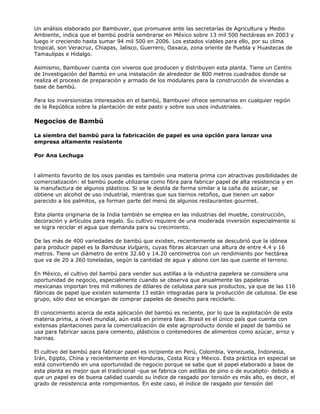 Un análisis elaborado por Bambuver, que promueve ante las secretarías de Agricultura y Medio
Ambiente, indica que el bambú podría sembrarse en México sobre 13 mil 500 hectáreas en 2003 y
luego ir creciendo hasta sumar 94 mil 500 en 2006. Los estados viables para ello, por su clima
tropical, son Veracruz, Chiapas, Jalisco, Guerrero, Oaxaca, zona oriente de Puebla y Huastecas de
Tamaulipas e Hidalgo.
Asimismo, Bambuver cuenta con viveros que producen y distribuyen esta planta. Tiene un Centro
de Investigación del Bambú en una instalación de alrededor de 800 metros cuadrados donde se
realiza el proceso de preparación y armado de los modulares para la construcción de viviendas a
base de bambú.
Para los inversionistas interesados en el bambú, Bambuver ofrece seminarios en cualquier región
de la República sobre la plantación de este pasto y sobre sus usos industriales.
Negocios de Bambú
La siembra del bambú para la fabricación de papel es una opción para lanzar una
empresa altamente resistente
Por Ana Lechuga
l alimento favorito de los osos pandas es también una materia prima con atractivas posibilidades de
comercialización: el bambú puede utilizarse como fibra para fabricar papel de alta resistencia y en
la manufactura de algunos plásticos. Si se le destila de forma similar a la caña de azúcar, se
obtiene un alcohol de uso industrial, mientras que sus tiernos retoños, que tienen un sabor
parecido a los palmitos, ya forman parte del menú de algunos restaurantes gourmet.
Esta planta originaria de la India también se emplea en las industrias del mueble, construcción,
decoración y artículos para regalo. Su cultivo requiere de una moderada inversión especialmente si
se logra reciclar el agua que demanda para su crecimiento.
De las más de 400 variedades de bambú que existen, recientemente se descubrió que la idónea
para producir papel es la Bambusa Vulgaris, cuyas fibras alcanzan una altura de entre 4.4 y 16
metros. Tiene un diámetro de entre 32.60 y 14.20 centímetros con un rendimiento por hectárea
que va de 20 a 260 toneladas, según la cantidad de agua y abono con las que cuente el terreno.
En México, el cultivo del bambú para vender sus astillas a la industria papelera se considera una
oportunidad de negocio, especialmente cuando se observa que anualmente las papeleras
mexicanas importan tres mil millones de dólares de celulosa para sus productos, ya que de las 116
fábricas de papel que existen solamente 13 están integradas para la producción de celulosa. De ese
grupo, sólo diez se encargan de comprar papeles de desecho para reciclarlo.
El conocimiento acerca de esta aplicación del bambú es reciente, por lo que la explotación de esta
materia prima, a nivel mundial, aún está en primera fase. Brasil es el único país que cuenta con
extensas plantaciones para la comercialización de este agroproducto donde el papel de bambú se
usa para fabricar sacos para cemento, plásticos o contenedores de alimentos como azúcar, arroz y
harinas.
El cultivo del bambú para fabricar papel es incipiente en Perú, Colombia, Venezuela, Indonesia,
Irán, Egipto, China y recientemente en Honduras, Costa Rica y México. Esta práctica en especial se
está convirtiendo en una oportunidad de negocio porque se sabe que el papel elaborado a base de
esta planta es mejor que el tradicional -que se fabrica con astillas de pino o de eucalipto- debido a
que un papel es de buena calidad cuando su índice de rasgado por tensión es más alto, es decir, el
grado de resistencia ante rompimientos. En este caso, el índice de rasgado por tensión del
 