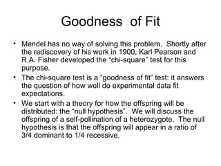 Goodness  of Fit Mendel has no way of solving this problem.  Shortly after the rediscovery of his work in 1900, Karl Pearson and R.A. Fisher developed the “chi-square” test for this purpose. The chi-square test is a “goodness of fit” test: it answers the question of how well do experimental data fit expectations. We start with a theory for how the offspring will be distributed: the “null hypothesis”.  We will discuss the offspring of a self-pollination of a heterozygote.  The null hypothesis is that the offspring will appear in a ratio of 3/4 dominant to 1/4 recessive. 