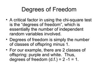 Degrees of Freedom A critical factor in using the chi-square test is the “degrees of freedom”, which is essentially the number of independent random variables involved. Degrees of freedom is simply the number of classes of offspring minus 1.  For our example, there are 2 classes of offspring: purple and white.  Thus, degrees of freedom (d.f.) = 2 -1 = 1. 
