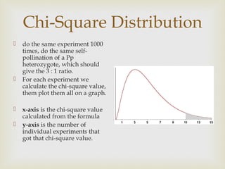 Chi-Square Distribution
   do the same experiment 1000
    times, do the same self-
    pollination of a Pp
    heterozygote, which should
    give the 3 : 1 ratio.
   For each experiment we
    calculate the chi-square value,
    them plot them all on a graph.

   x-axis is the chi-square value
    calculated from the formula
   y-axis is the number of
    individual experiments that
    got that chi-square value.
 