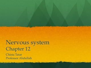 Nervous system
Chapter 12
Chista Tatar
Professor Abdullah
 