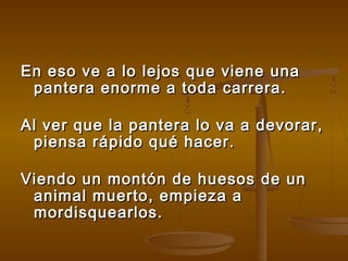 En eso ve a lo lejos que viene unaEn eso ve a lo lejos que viene una
pantera enorme a toda carrera.pantera enorme a toda carrera.
Al ver que la pantera lo va a devorar,Al ver que la pantera lo va a devorar,
piensa rápido qué hacer.piensa rápido qué hacer.
Viendo un montón de huesos de unViendo un montón de huesos de un
animal muerto, empieza aanimal muerto, empieza a
mordisquearlos.mordisquearlos.
 