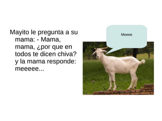 Mayito le pregunta a su   Meeee
 mama: - Mama,
 mama, ¿por que en
 todos te dicen chiva?
 y la mama responde:
 meeeee...
 