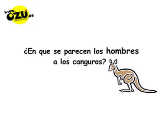 ¿En que se parecen los  hombres  a los canguros? 