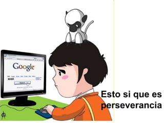 Esto si que es perseverancia 
