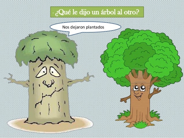 Que Le Dijo Una Planta A Otra Planta