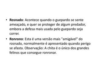 • Rosnado: Acontece quando o guepardo se sente
  ameaçado, e quer se proteger de algum predador,
  embora a defesa mais usada pelo guepardo seja
  correr.
• Ronrono: Esta é uma versão mais "amigável" do
  rosnado, normalmente é apresentado quando perigo
  se afasta. Observação: A chita é o único dos grandes
  felinos que consegue ronronar.
 