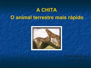 A CHITA  O animal terrestre mais rápido   Trabalho realizado por DIOGO CRISTINA 