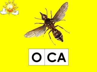О СА
 