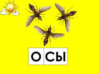 О СЫ
 