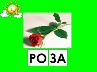 РО ЗА
 