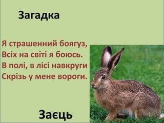 Загадка 
Я страшенний боягуз, 
Всіх на світі я боюсь. 
В полі, в лісі навкруги – 
Скрізь у мене вороги. 
Заєць 
 