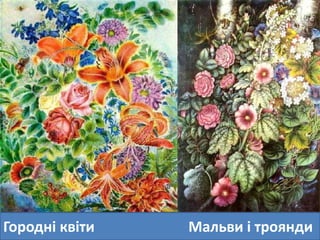 Городні квіти Мальви і троянди 
 