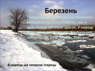 Березень 
Походження назви місяця березень 
виводять від слова береза, яка в 
цей місяць починає цвісти. У народі 
його звали: капельник, протальник, 
запалі сніги, з гір потоки, соковик, 
полютий, красовик. 
В марець ще змерзне старець 
 