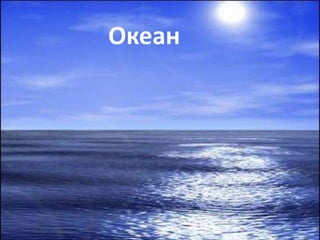 Океан 
 