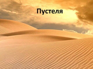 Пустеля 
 