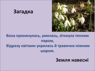 Вона прокинулась, умилась, зітхнула теплим 
паром, 
Відразу квітами укрилась й травички ніжним 
шаром. 
Загадка 
Земля навесні 
 