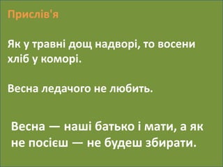 Прислів'я 
Як у травні дощ надворі, то восени 
хліб у коморі. 
Весна ледачого не любить. 
Весна — наші батько і мати, а як 
не посієш — не будеш збирати. 
 