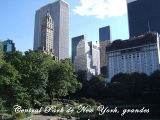 Central Park de New York, grandes recitales 