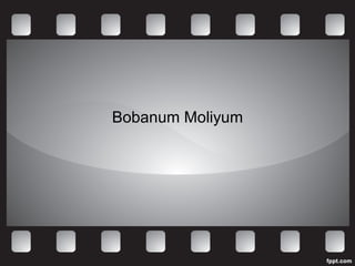 Bobanum Moliyum 