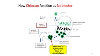 Esophagus
pH: 5-7
Stomach
pH: 1.5-3.5
Duodenum
pH: 7-8.5
Chitosan
Fat/Lipids
Soluble chitosan under
acidic conditions
Chitosan/fat emulsion
Stable fat binding/
Micelles formation
Reduced fat
absorption into
blood Resistance to
hydrolysis by
lipase or
phospholipase
How Chitosan function as fat blocker
22
 
