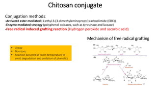 Chitosan conjugate
Mechanism of free radical grafting
 Cheap
 Non-toxic
 Reaction occurred at room temperature to
avoid degradation and oxidation of phenolics
Conjugation methods:
-Activated ester-mediated (1-ethyl-3-(3-dimethylaminopropyl) carbodiimide (EDC))
-Enzyme-mediated strategy (polyphenol oxidases, such as tyrosinase and laccase)
-Free radical induced grafting reaction (Hydrogen peroxide and ascorbic acid)
25
 