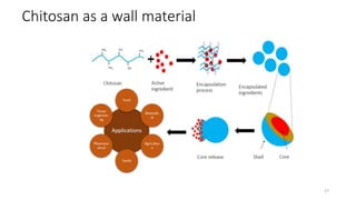 Chitosan as a wall material
27
 