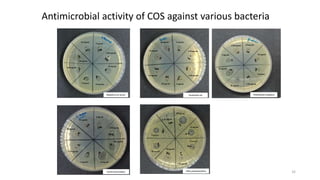 Staphylococcus aureus
20 mg/mL
20 mg/mL
10 mg/mL
5 mg/mL
2.50 mg/mL
10 mg/mL
5 mg/mL
2.50 mg/mL
Escherichia coli
20 mg/mL
10 mg/mL 5 mg/mL
2.50 mg/mL
20 mg/mL
10 mg/mL 5 mg/mL
2.50 mg/mL
Pseudomonas aeruginosa
20 mg/mL
10 mg/mL
5 mg/mL
2.50 mg/mL 20 mg/mL
10 mg/mL
5 mg/mL
2.50 mg/mL
Vibrio parahaemolyticus
20 mg/mL
10 mg/mL
5 mg/mL
2.50 mg/mL
20 mg/mL
10 mg/mL
5 mg/mL
2.50 mg/mL
20 mg/mL
10 mg/mL
5 mg/mL
2.50 mg/mL
200 mg/mL
10 mg/mL
5 mg/mL
2.50 mg/mL
Listeria monocytogens
Antimicrobial activity of COS against various bacteria
32
 