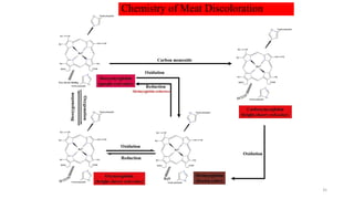 Chemistry of Meat Discoloration
35
 