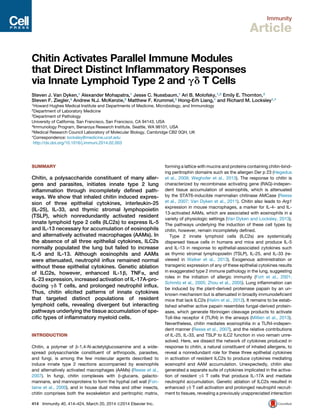 Immunity
Article
Chitin Activates Parallel Immune Modules
that Direct Distinct Inﬂammatory Responses
via Innate Lymphoid Type 2 and gd T Cells
Steven J. Van Dyken,1 Alexander Mohapatra,1 Jesse C. Nussbaum,1 Ari B. Molofsky,1,2 Emily E. Thornton,3
Steven F. Ziegler,4 Andrew N.J. McKenzie,5 Matthew F. Krummel,3 Hong-Erh Liang,1 and Richard M. Locksley1,*
1Howard Hughes Medical Institute and Departments of Medicine, Microbiology, and Immunology
2Department of Laboratory Medicine
3Department of Pathology
University of California, San Francisco, San Francisco, CA 94143, USA
4Immunology Program, Benaroya Research Institute, Seattle, WA 98101, USA
5Medical Research Council Laboratory of Molecular Biology, Cambridge CB2 0QH, UK
*Correspondence: locksley@medicine.ucsf.edu
http://dx.doi.org/10.1016/j.immuni.2014.02.003
SUMMARY
Chitin, a polysaccharide constituent of many aller-
gens and parasites, initiates innate type 2 lung
inﬂammation through incompletely deﬁned path-
ways. We show that inhaled chitin induced expres-
sion of three epithelial cytokines, interleukin-25
(IL-25), IL-33, and thymic stromal lymphopoietin
(TSLP), which nonredundantly activated resident
innate lymphoid type 2 cells (ILC2s) to express IL-5
and IL-13 necessary for accumulation of eosinophils
and alternatively activated macrophages (AAMs). In
the absence of all three epithelial cytokines, ILC2s
normally populated the lung but failed to increase
IL-5 and IL-13. Although eosinophils and AAMs
were attenuated, neutrophil inﬂux remained normal
without these epithelial cytokines. Genetic ablation
of ILC2s, however, enhanced IL-1b, TNFa, and
IL-23 expression, increased activation of IL-17A-pro-
ducing gd T cells, and prolonged neutrophil inﬂux.
Thus, chitin elicited patterns of innate cytokines
that targeted distinct populations of resident
lymphoid cells, revealing divergent but interacting
pathways underlying the tissue accumulation of spe-
ciﬁc types of inﬂammatory myeloid cells.
INTRODUCTION
Chitin, a polymer of b-1,4-N-actetylglucosamine and a wide-
spread polysaccharide constituent of arthropods, parasites,
and fungi, is among the few molecular agents described to
induce innate type 2 reactions accompanied by eosinophils
and alternatively activated macrophages (AAMs) (Reese et al.,
2007). In fungi, chitin complexes with b-glucans, galacto-
mannans, and mannoproteins to form the hyphal cell wall (Fon-
taine et al., 2000), and in house dust mites and other insects,
chitin comprises both the exoskeleton and peritrophic matrix,
forming a lattice with mucins and proteins containing chitin-bind-
ing peritrophin domains such as the allergen Der p 23 (Hegedus
et al., 2009; Weghofer et al., 2013). The response to chitin is
characterized by recombinase activating gene (RAG)-indepen-
dent tissue accumulation of eosinophils, which is attenuated
by the STAT6-inducible mammalian chitinase AMCase (Reese
et al., 2007; Van Dyken et al., 2011). Chitin also leads to Arg1
expression in mouse macrophages, a marker for IL-4- and IL-
13-activated AAMs, which are associated with eosinophils in a
variety of physiologic settings (Van Dyken and Locksley, 2013).
The pathways underlying the induction of these cell types by
chitin, however, remain incompletely deﬁned.
Type 2 innate lymphoid cells (ILC2s) are systemically
dispersed tissue cells in humans and mice and produce IL-5
and IL-13 in response to epithelial-associated cytokines such
as thymic stromal lymphopoietin (TSLP), IL-25, and IL-33 (re-
viewed in Walker et al., 2013). Exogenous administration or
transgenic expression of any of these epithelial cytokines results
in exaggerated type 2 immune pathology in the lung, suggesting
roles in the initiation of allergic immunity (Fort et al., 2001;
Schmitz et al., 2005; Zhou et al., 2005). Lung inﬂammation can
be induced by the plant-derived proteinase papain by an un-
known mechanism but is attenuated in broadly immunodeﬁcient
mice that lack ILC2s (Halim et al., 2012). It remains to be estab-
lished whether active papain resembles fungal-derived protein-
ases, which generate ﬁbrinogen cleavage products to activate
Toll-like receptor 4 (TLR4) in the airways (Millien et al., 2013).
Nevertheless, chitin mediates eosinophilia in a TLR4-indepen-
dent manner (Reese et al., 2007), and the relative contributions
of IL-25, IL-33, and TSLP to ILC2 function in vivo remain unre-
solved. Here, we dissect the network of cytokines produced in
response to chitin, a natural constituent of inhaled allergens, to
reveal a nonredundant role for these three epithelial cytokines
in activation of resident ILC2s to produce cytokines mediating
eosinophil and AAM accumulation. Unexpectedly, chitin also
generated a separate suite of cytokines implicated in the activa-
tion of resident gd T cells that produce IL-17A and mediate
neutrophil accumulation. Genetic ablation of ILC2s resulted in
enhanced gd T cell activation and prolonged neutrophil recruit-
ment to tissues, revealing a previously unappreciated interaction
414 Immunity 40, 414–424, March 20, 2014 ª2014 Elsevier Inc.
 