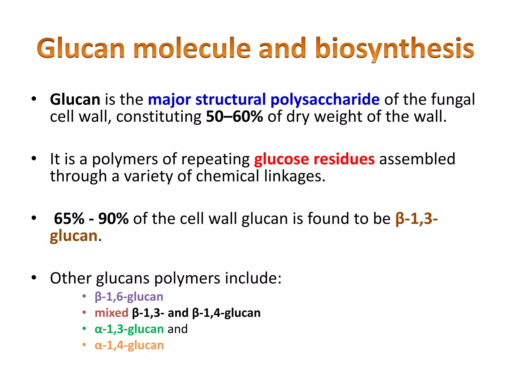 • Glucan is the major structural polysaccharide of the fungal
cell wall, constituting 50–60% of dry weight of the wall.
• It is a polymers of repeating glucose residues assembled
through a variety of chemical linkages.
• 65% - 90% of the cell wall glucan is found to be β-1,3-
glucan.
• Other glucans polymers include:
• β-1,6-glucan
• mixed β-1,3- and β-1,4-glucan
• α-1,3-glucan and
• α-1,4-glucan
 